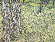 Vincent Van Gogh Pine Trees and Dandelions in the Garden of Saint-Paul Hospital (nn04) France oil painting reproduction